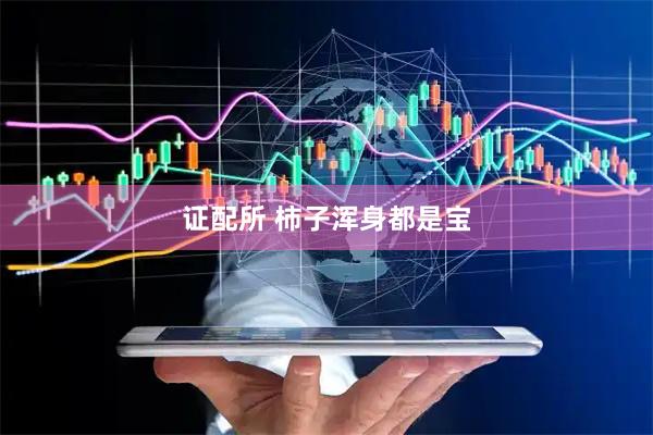 证配所 柿子浑身都是宝
