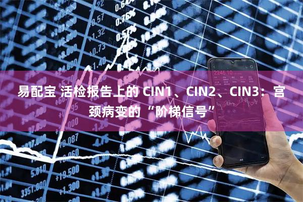 易配宝 活检报告上的 CIN1、CIN2、CIN3：宫颈病变的 “阶梯信号”