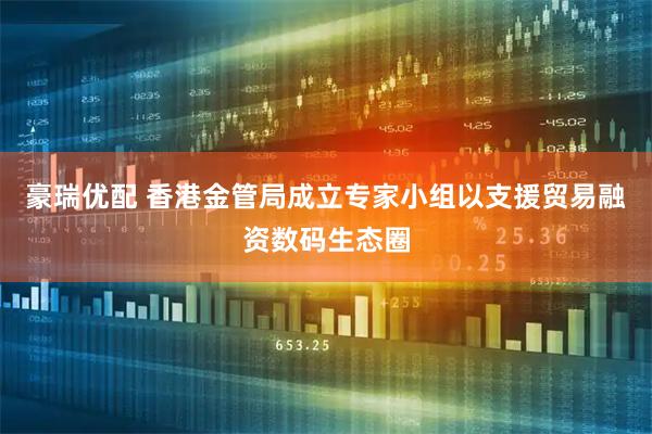 豪瑞优配 香港金管局成立专家小组以支援贸易融资数码生态圈