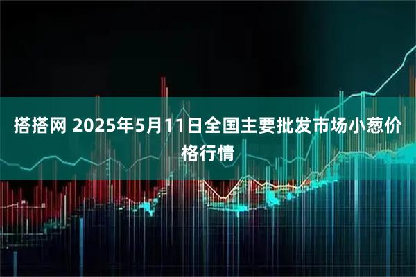 搭搭网 2025年5月11日全国主要批发市场小葱价格行情