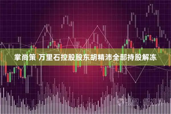 掌尚策 万里石控股股东胡精沛全部持股解冻