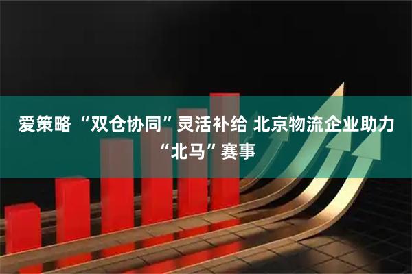爱策略 “双仓协同”灵活补给 北京物流企业助力“北马”赛事