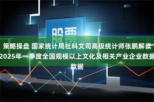 策略操盘 国家统计局社科文司高级统计师张鹏解读2025年一季度全国规模以上文化及相关产业企业数据