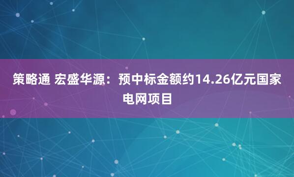 策略通 宏盛华源：预中标金额约14.26亿元国家电网项目