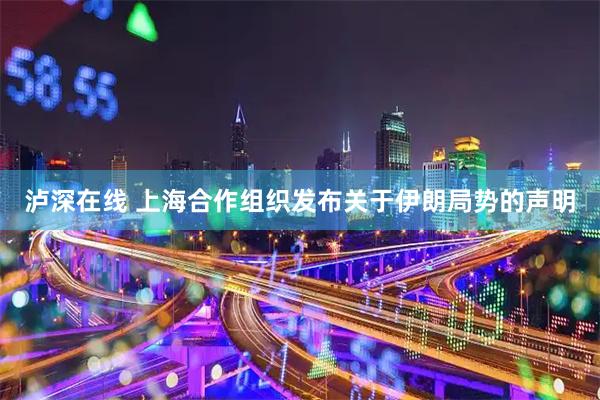 泸深在线 上海合作组织发布关于伊朗局势的声明