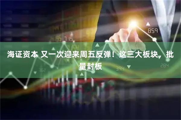 海证资本 又一次迎来周五反弹！这三大板块，批量封板