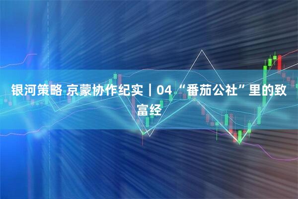 银河策略 京蒙协作纪实｜04 “番茄公社”里的致富经