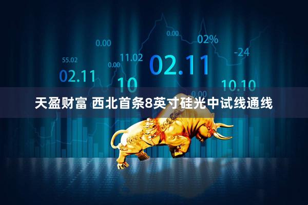 天盈财富 西北首条8英寸硅光中试线通线